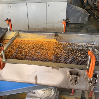 XLPE EVA Polietilen Çapraz Bağlı Peletleme İçin XPE Köpük Granülasyon Makinesi