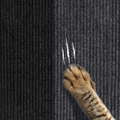 Başucu Koruması İçin Kaymaz Kedi Tırmalama Mat Kendinden Yapışkanlı Kırpılabilir